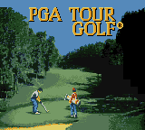 Обложка игры PGA Tour Golf