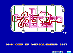 Обложка игры The Irritating Maze