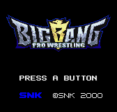 Обложка игры Big Bang Pro Wrestling