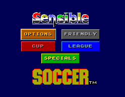 Игра Sensible Soccer (Sega Master System - sms)