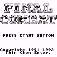 Обложка игры Final Combat