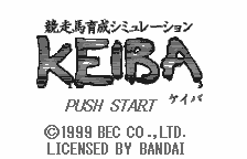 Обложка игры Kyoso Uma Ikusei Simulation Keiba ( - ws)